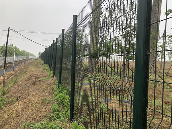 綠化帶護欄網案例展示圖片2