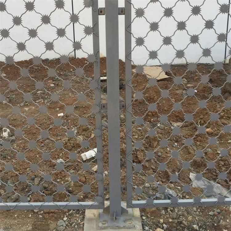 梅花刺監獄防護網案例展示圖片4