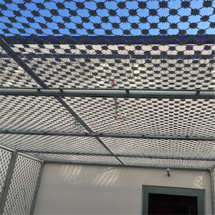 梅花刺隔離網(wǎng)案例展示圖片4 梅花刺隔離網(wǎng)案例展示圖片4