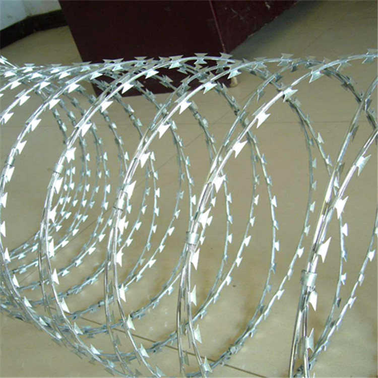 不銹鋼刀刺網案例展示圖片4 不銹鋼刀刺網案例展示圖片4